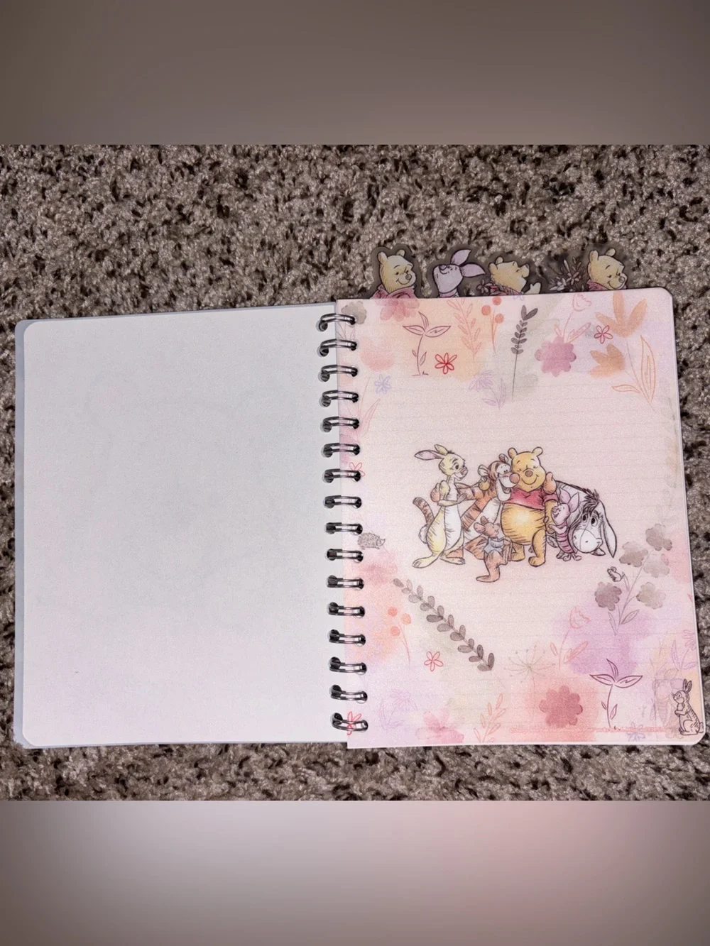 Winnie the Pooh Spiral Notebook